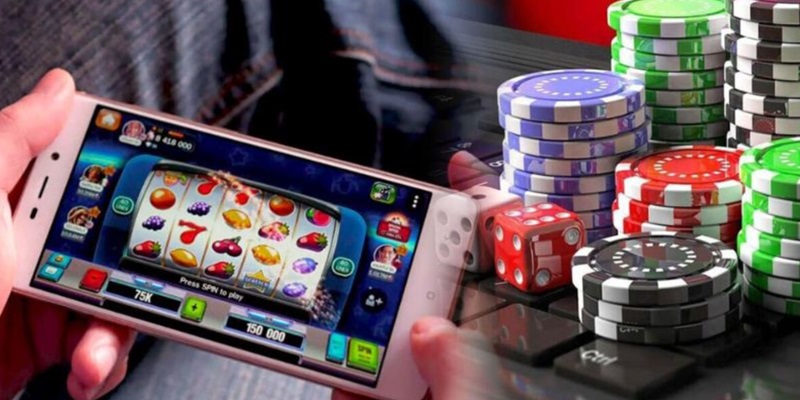 Lưu ý quan trọng khi tham gia bảo hiểm cược newbie cần nắm rõ
