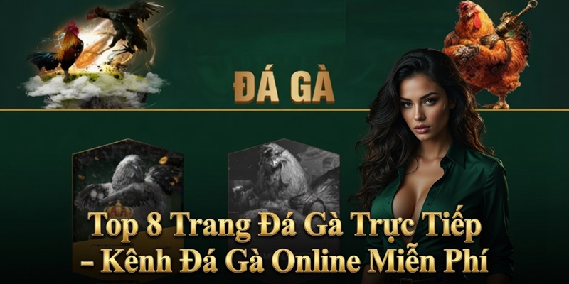 trang đá gà trực tiếp
